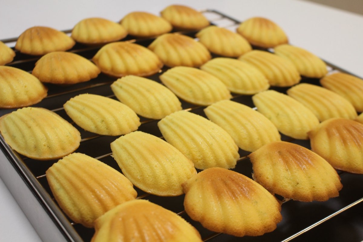 檸檬瑪德蓮 2